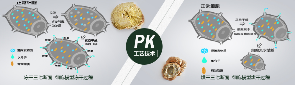 PK图片4